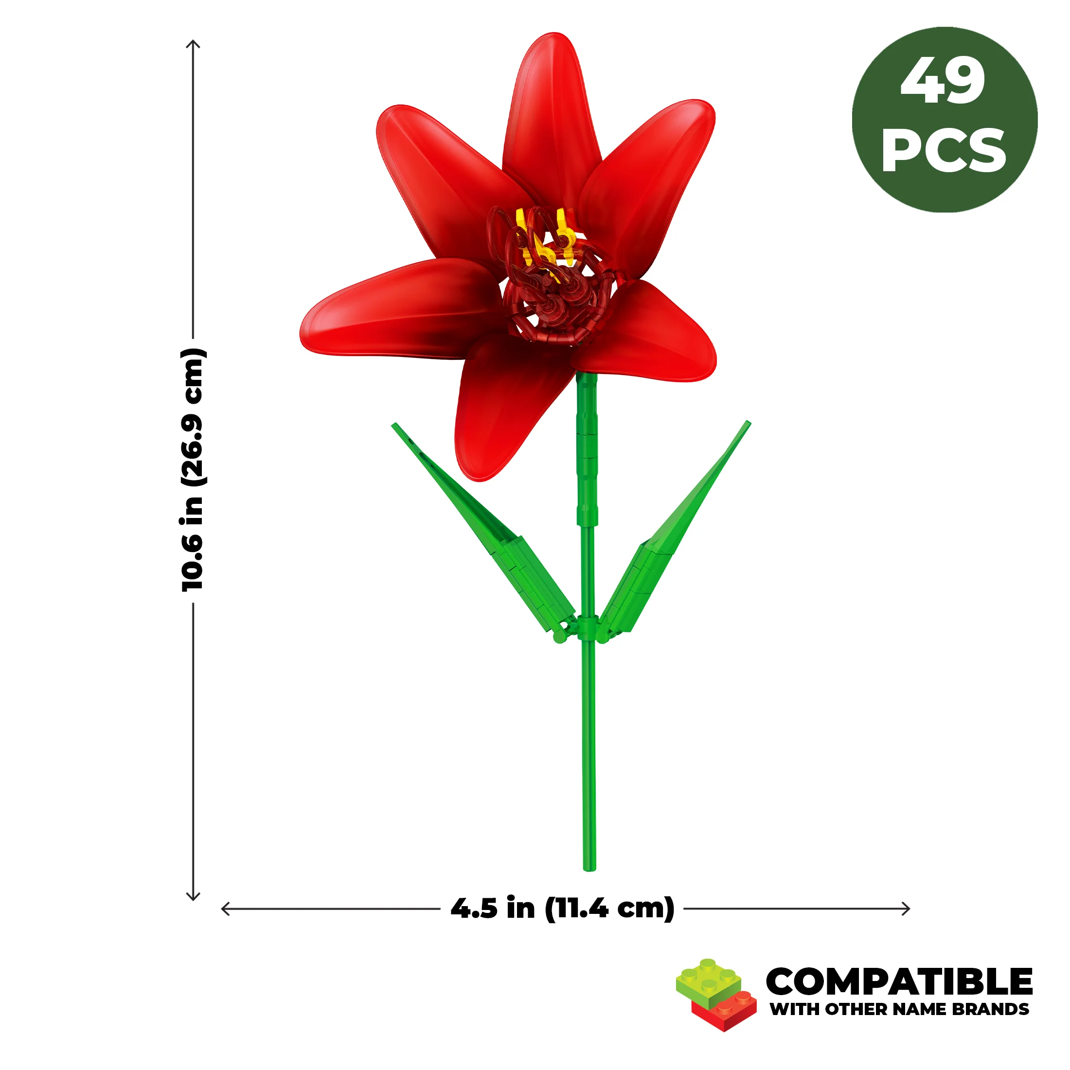 Amaryllis - Image 4