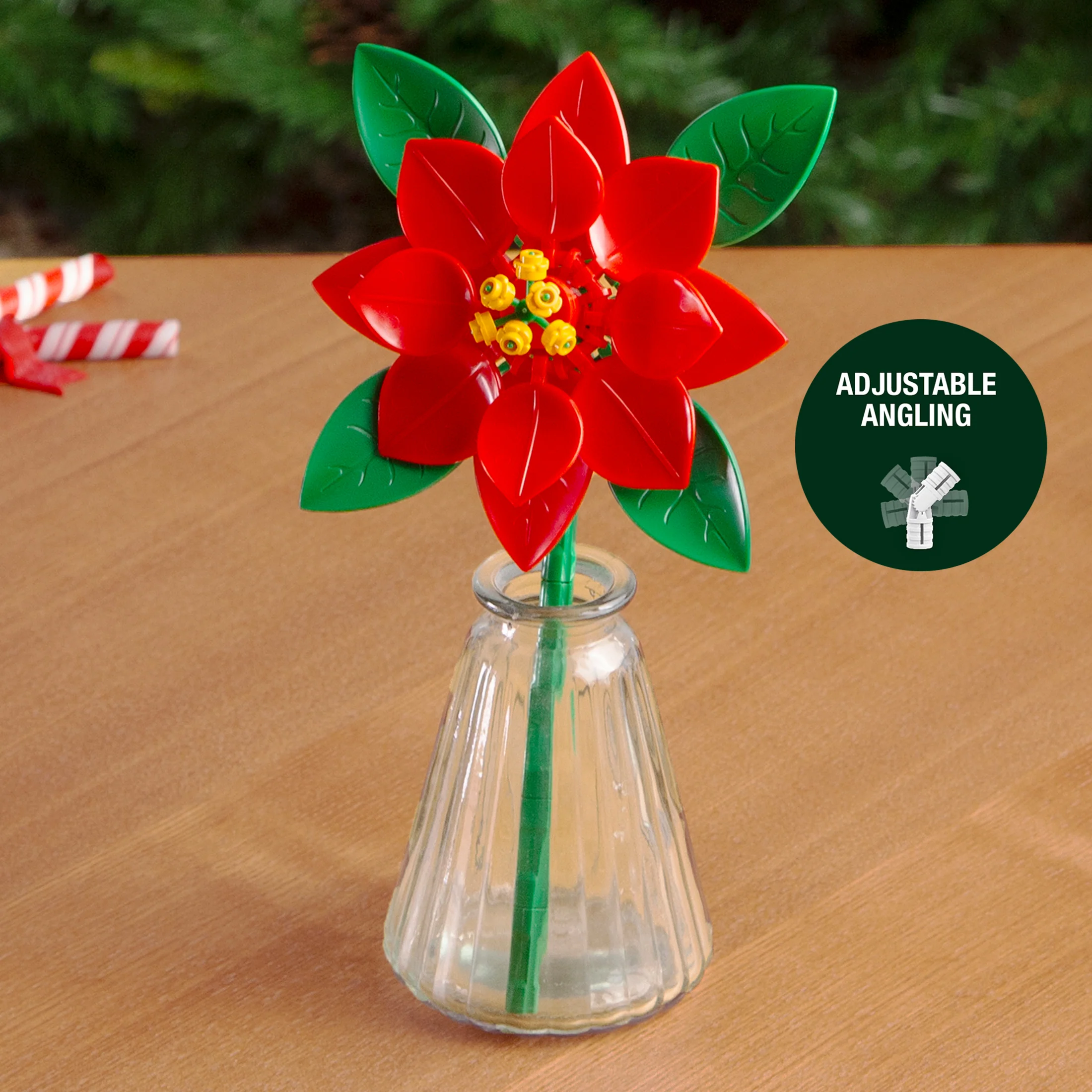 Poinsettia - Image 5