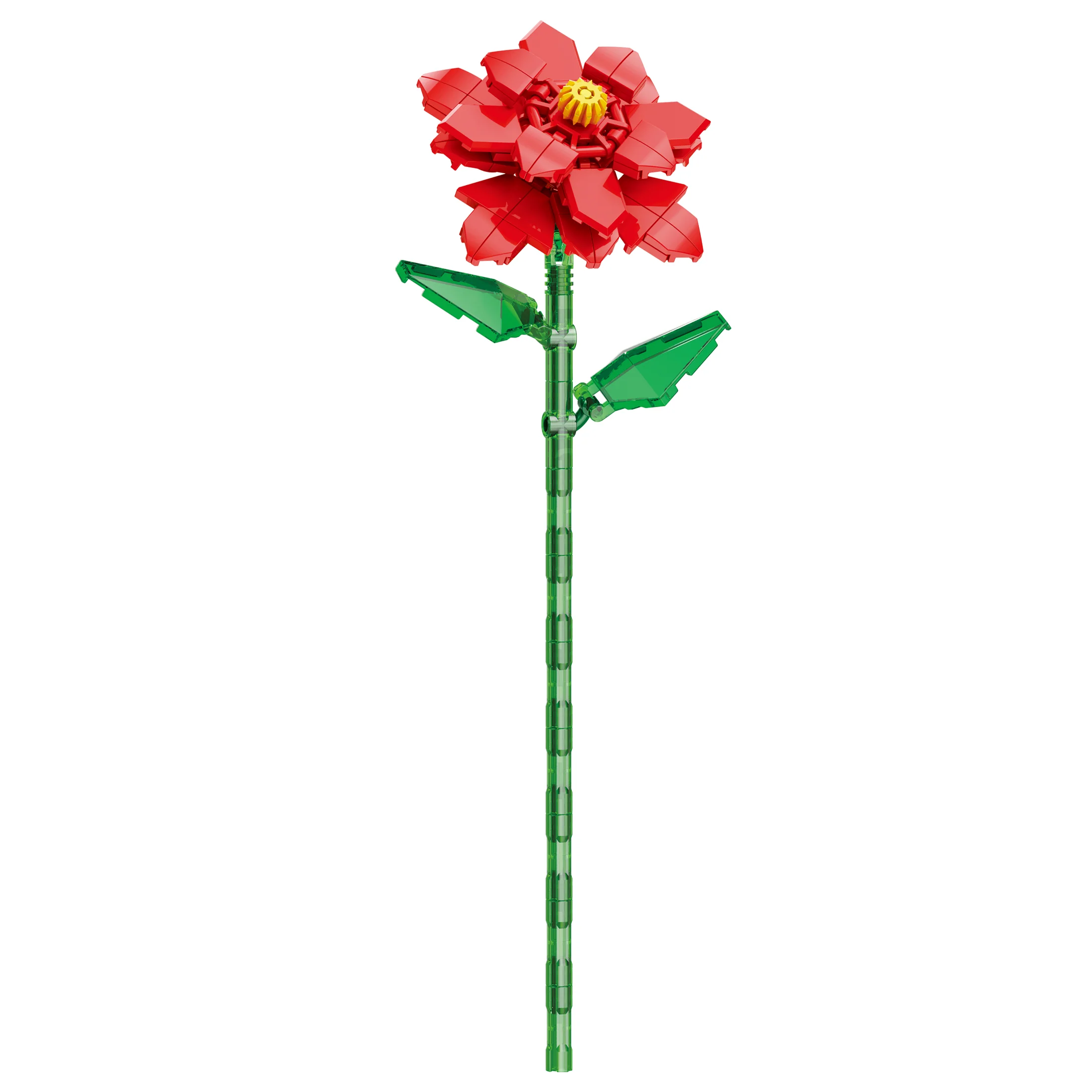 Poinsettia - Image 3