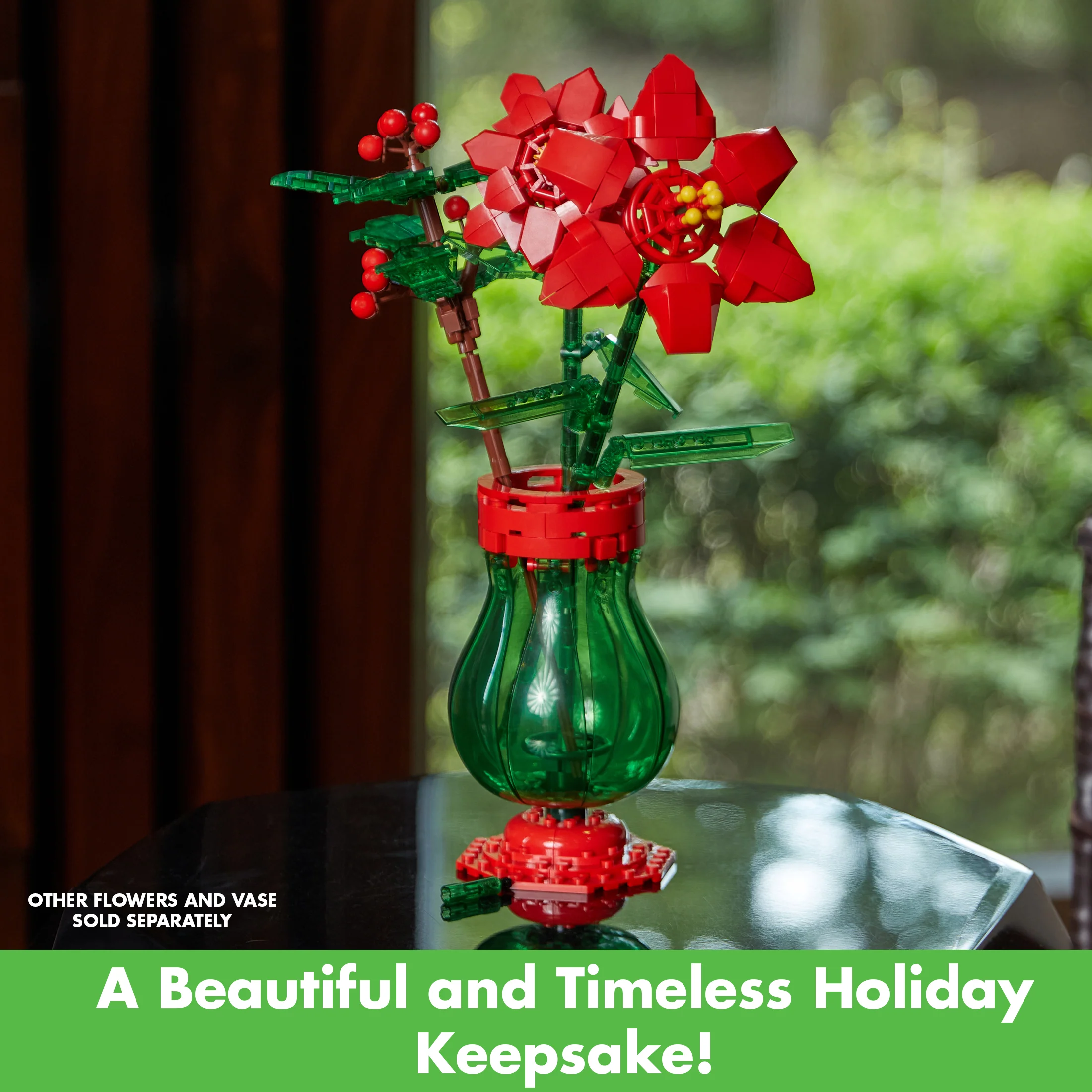 Poinsettia - Image 6
